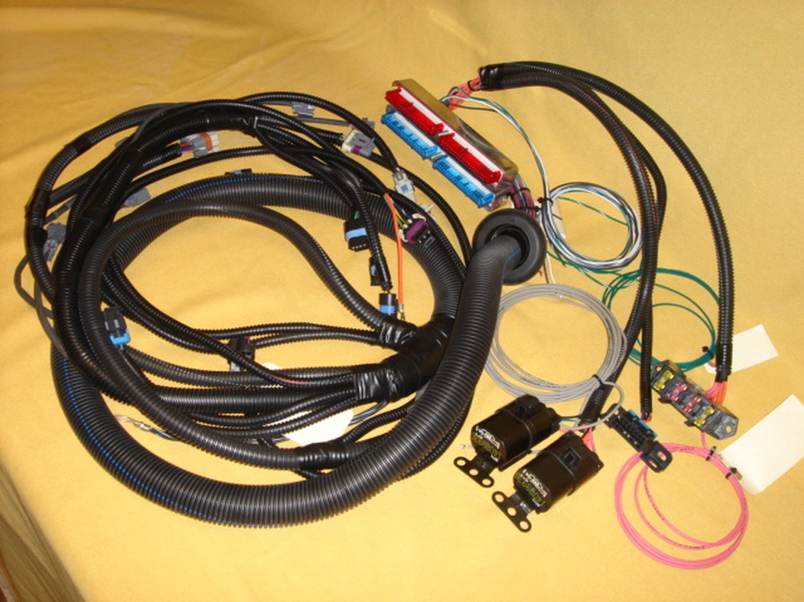 Lt1 Engine Swap Wiring Harness : Lt1 Stand Alone Wiring Harness Diagram